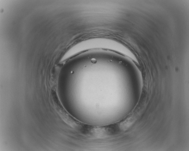 X0000065980413200603172120