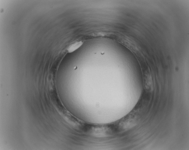 X0000065980414200603172120