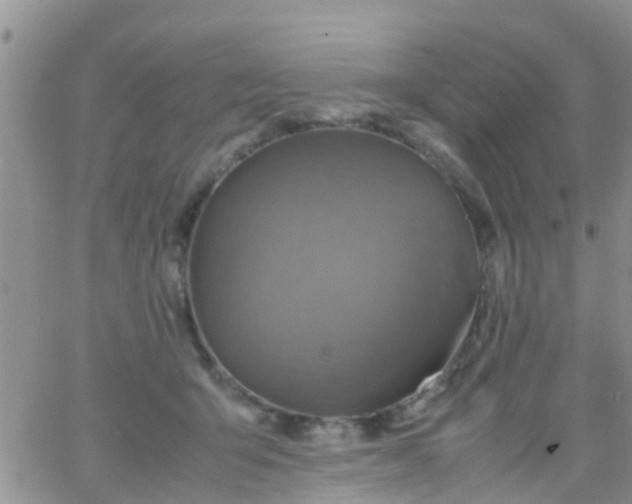 X0000065980415200603172120