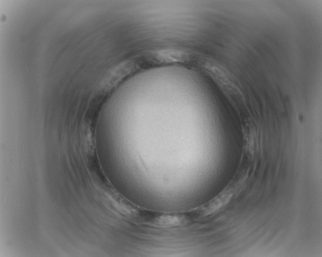 X0000065980418200603172120