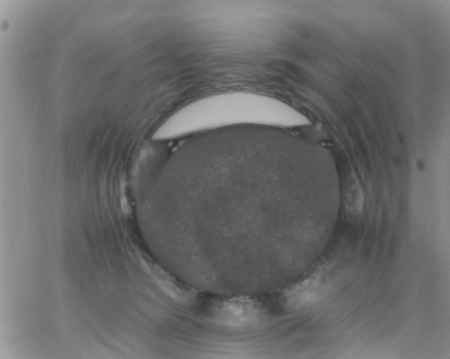 X0000065980420200603172120