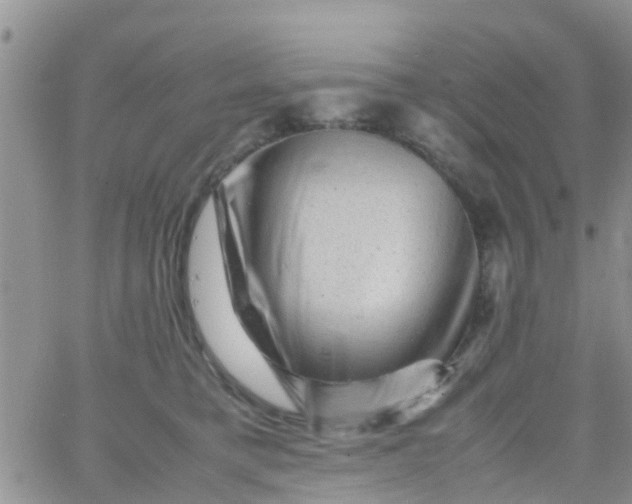 X0000065980421200603172120