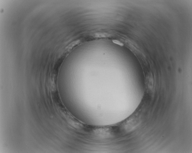 X0000065980422200603172120