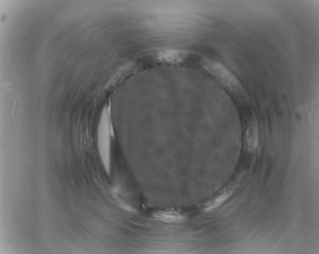 X0000065980424200603172120