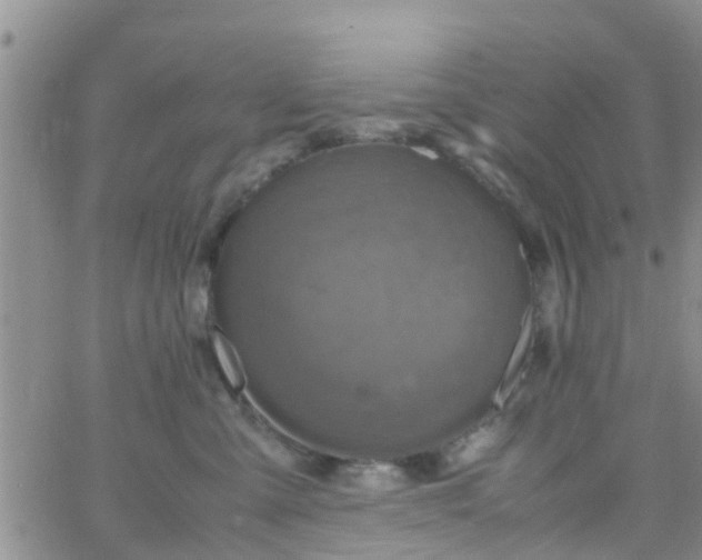 X0000065980427200603172120