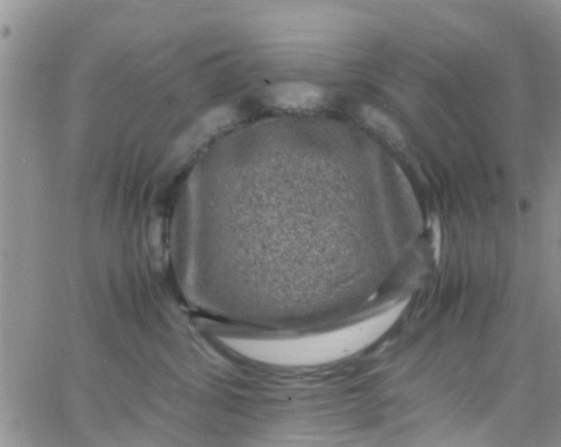 X0000065980428200603172120