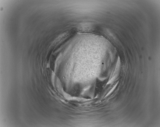 X0000065980429200603172120