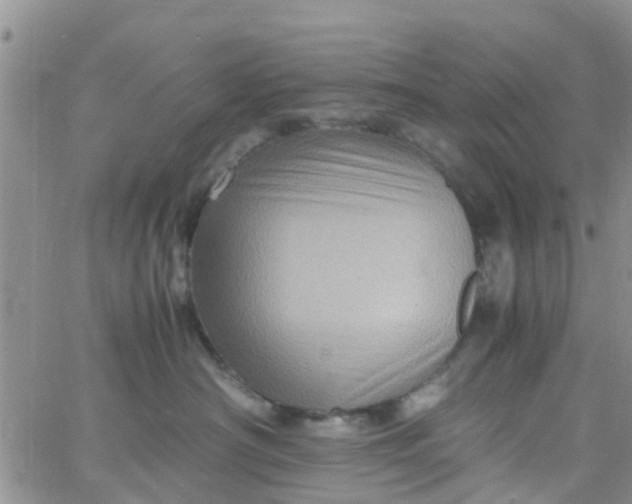 X0000065980430200603172120