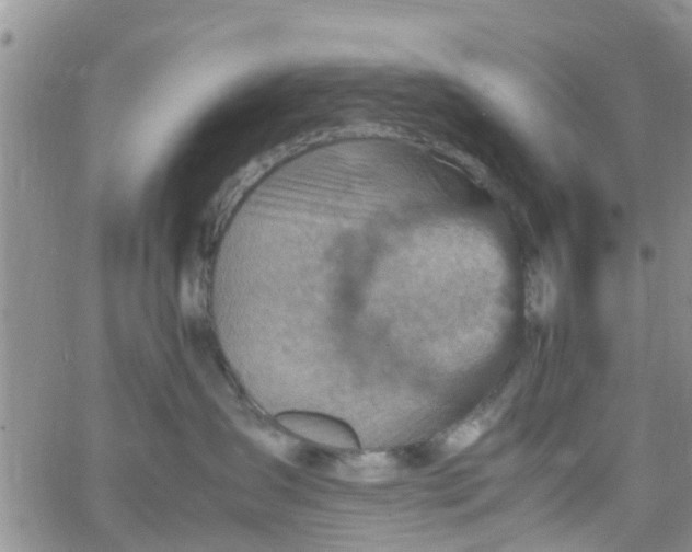 X0000065980431200603172120