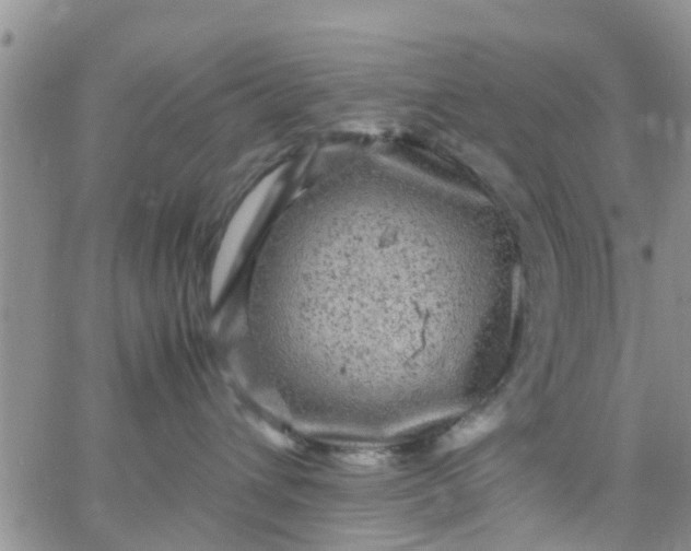 X0000065980432200603172120