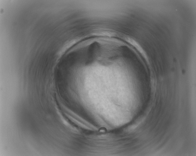 X0000065980433200603172119