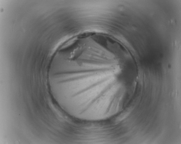 X0000065980434200603172119