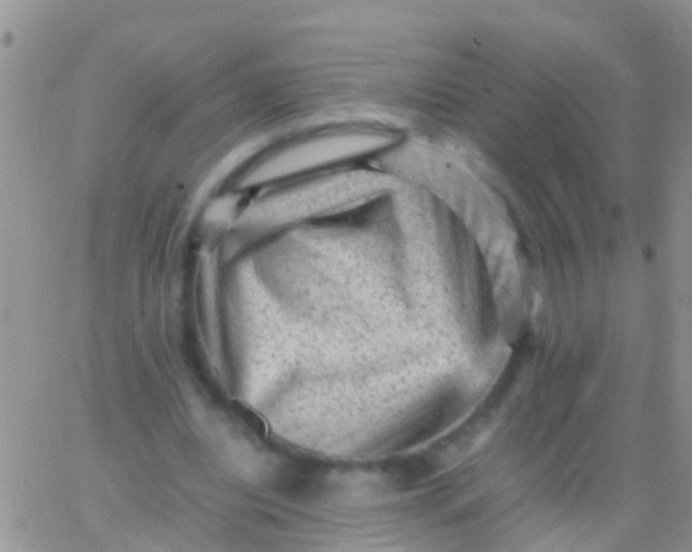 X0000065980440200603172119