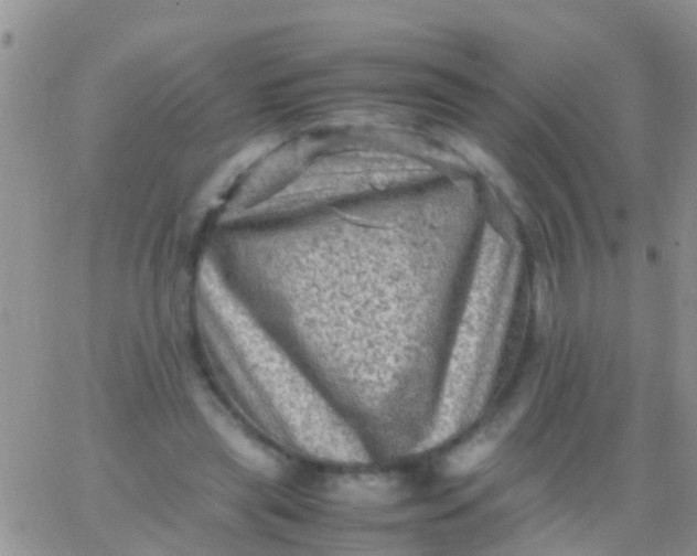 X0000065980445200603172119