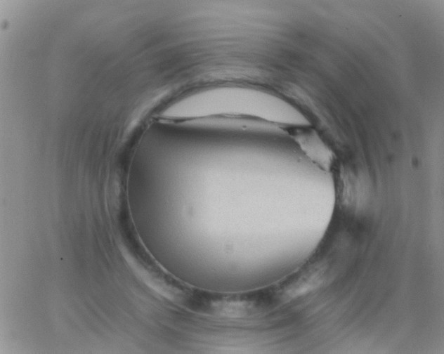 X0000065980448200603172119