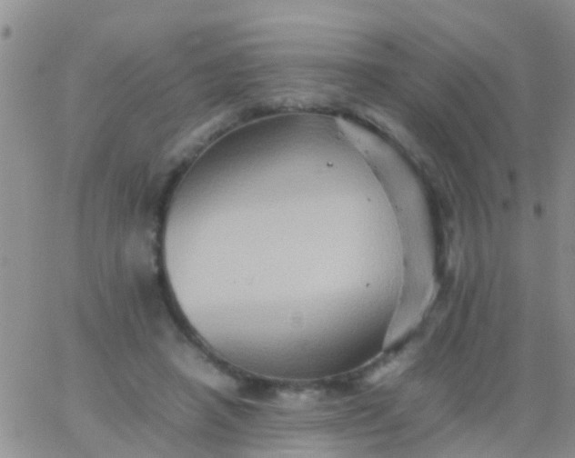 X0000065980450200603172119