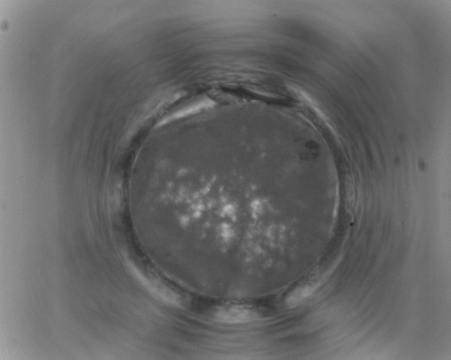 X0000065980451200603172119