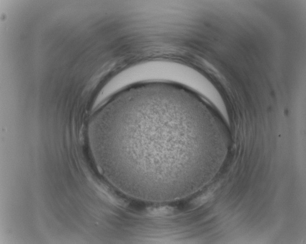 X0000065980452200603172119