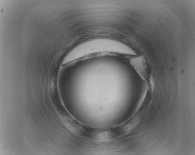 X0000065980456200603172119