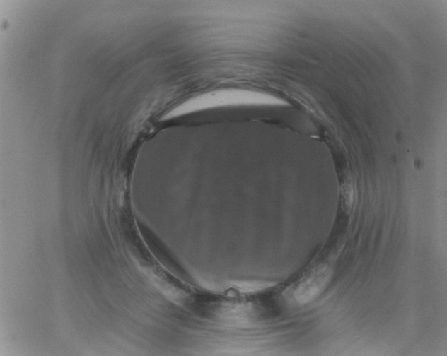 X0000065980458200603172119