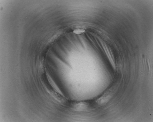 X0000065980460200603172119