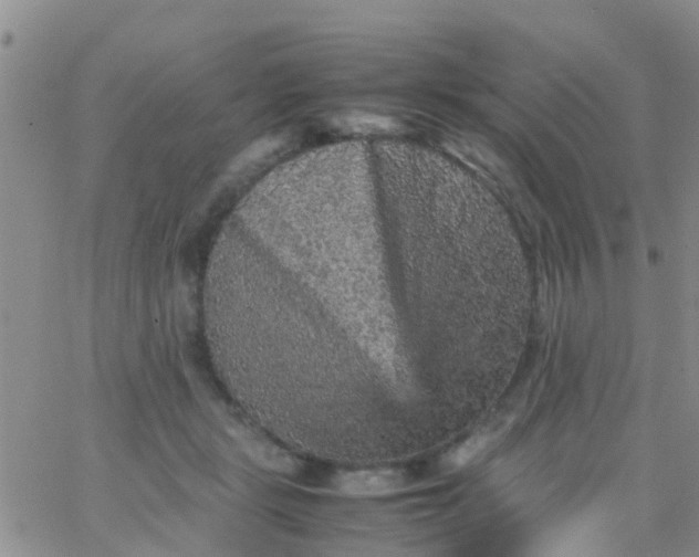 X0000065980461200603172119