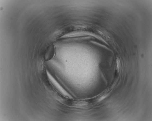 X0000065980463200603172119