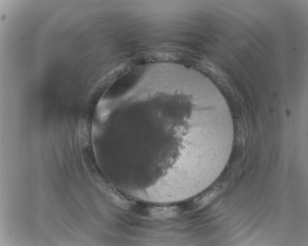 X0000065980465200603172119