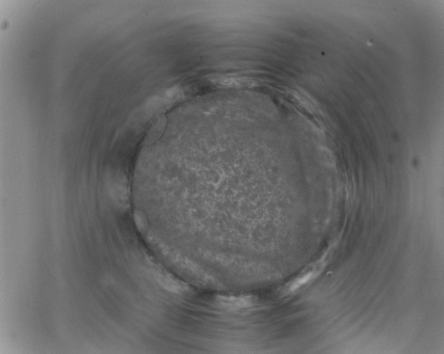 X0000065980469200603172119