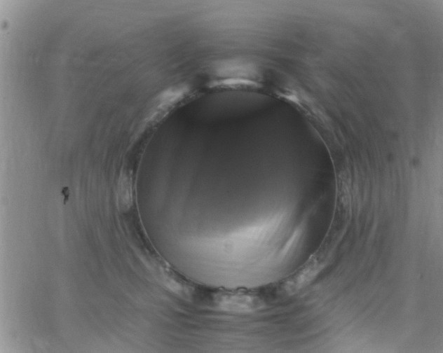 X0000065980471200603172119