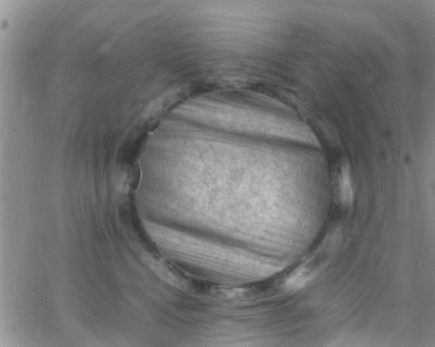 X0000065980472200603172119