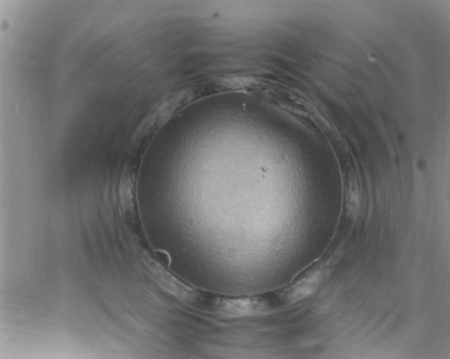 X0000065980473200603172120