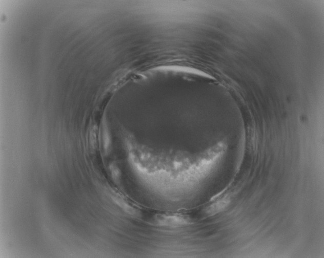 X0000065980475200603172120