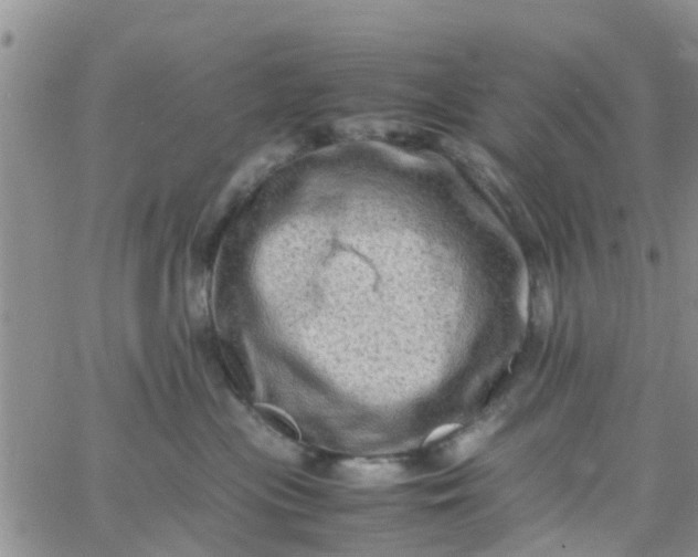 X0000065980477200603172120