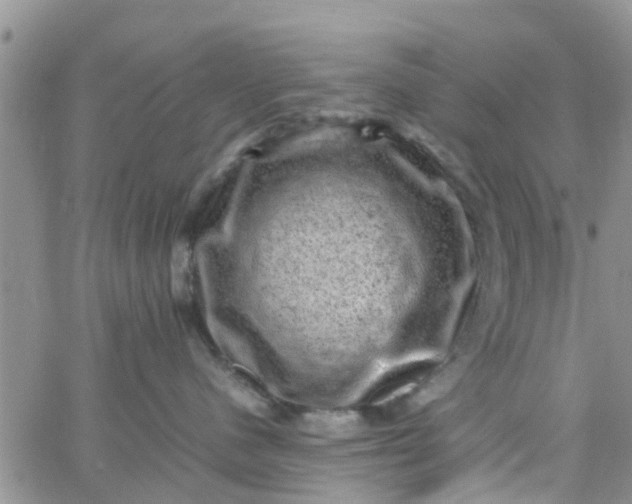 X0000065980480200603172120