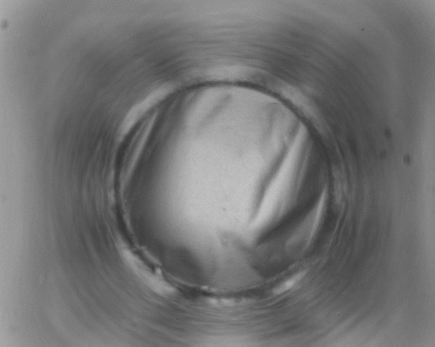 X0000065980486200603172119