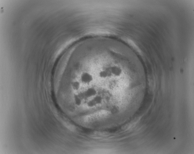 X0000065980487200603172119