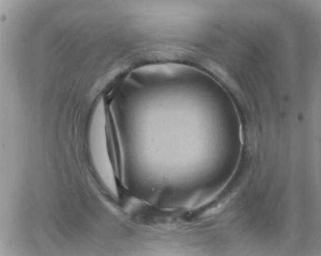 X0000065980489200603172119