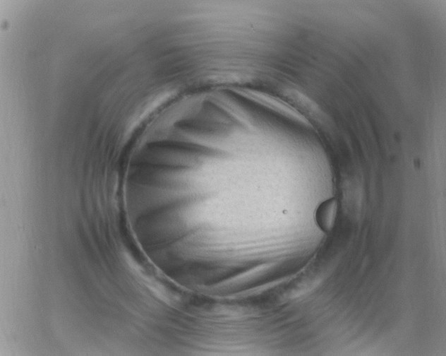 X0000065980490200603172119