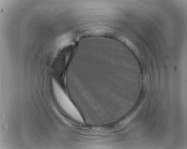 X0000065980493200603172119