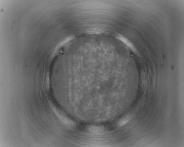 X0000065980494200603172119