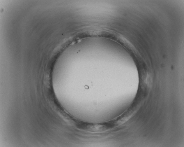 X0000065980497200603172119