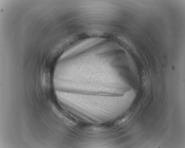 X0000065980498200603172119