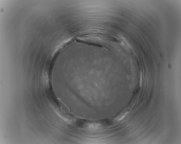 X0000065980500200603172119