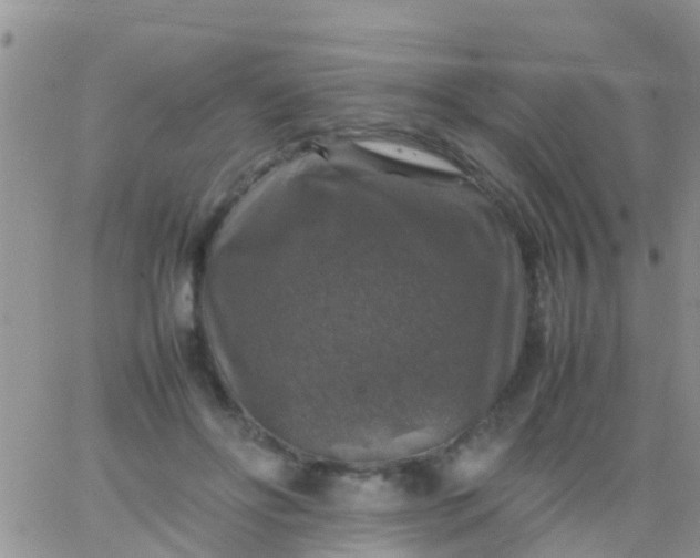 X0000065980502200603172119