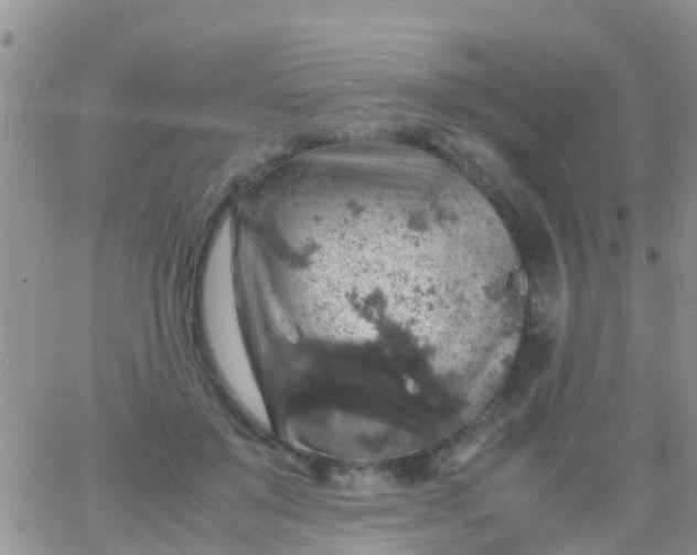 X0000065980503200603172118