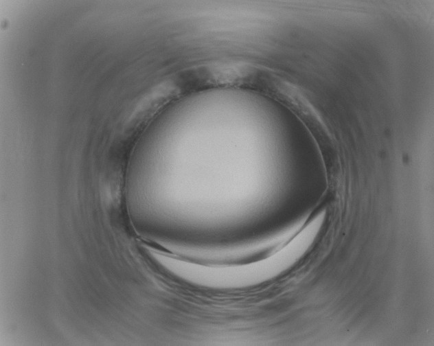 X0000065980505200603172118