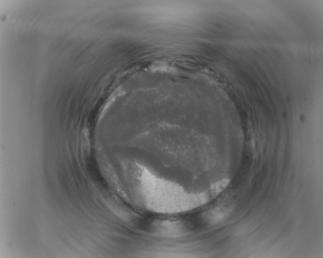 X0000065980506200603172118