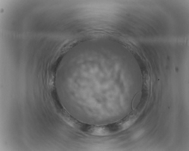 X0000065980507200603172118