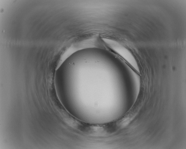 X0000065980509200603172118